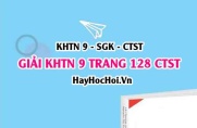 Giải KHTN 9 trang 128 Chân trời sáng tạo SGK